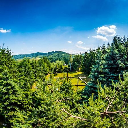 Agroturystyka Kapellanka - Kraina Wygaslych Wulkanow Wojcieszów エクステリア 写真