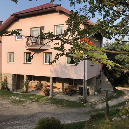 Agroturystyka Kapellanka - Kraina Wygaslych Wulkanow Wojcieszów エクステリア 写真