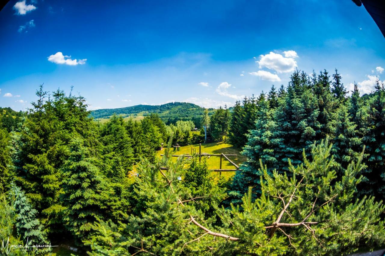 Agroturystyka Kapellanka - Kraina Wygaslych Wulkanow Wojcieszów エクステリア 写真