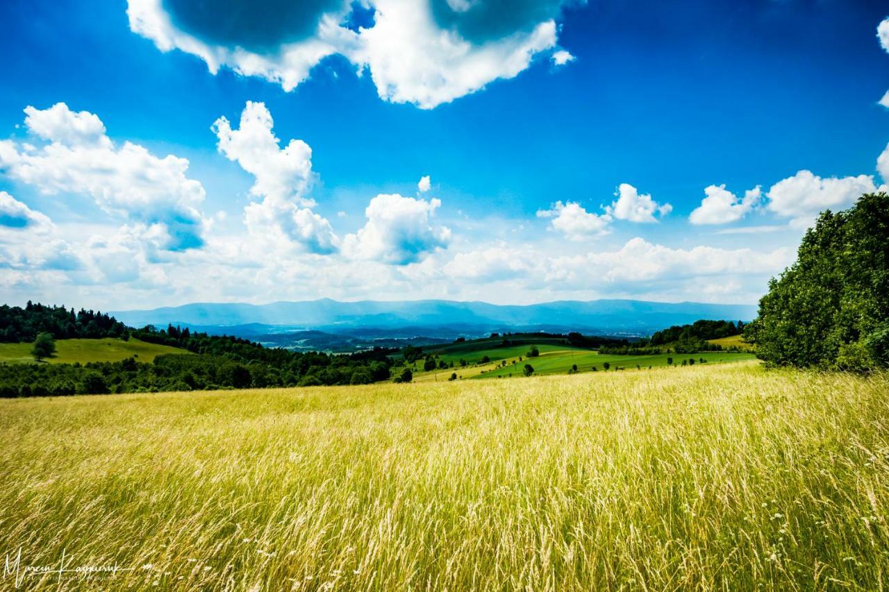 Agroturystyka Kapellanka - Kraina Wygaslych Wulkanow Wojcieszów エクステリア 写真
