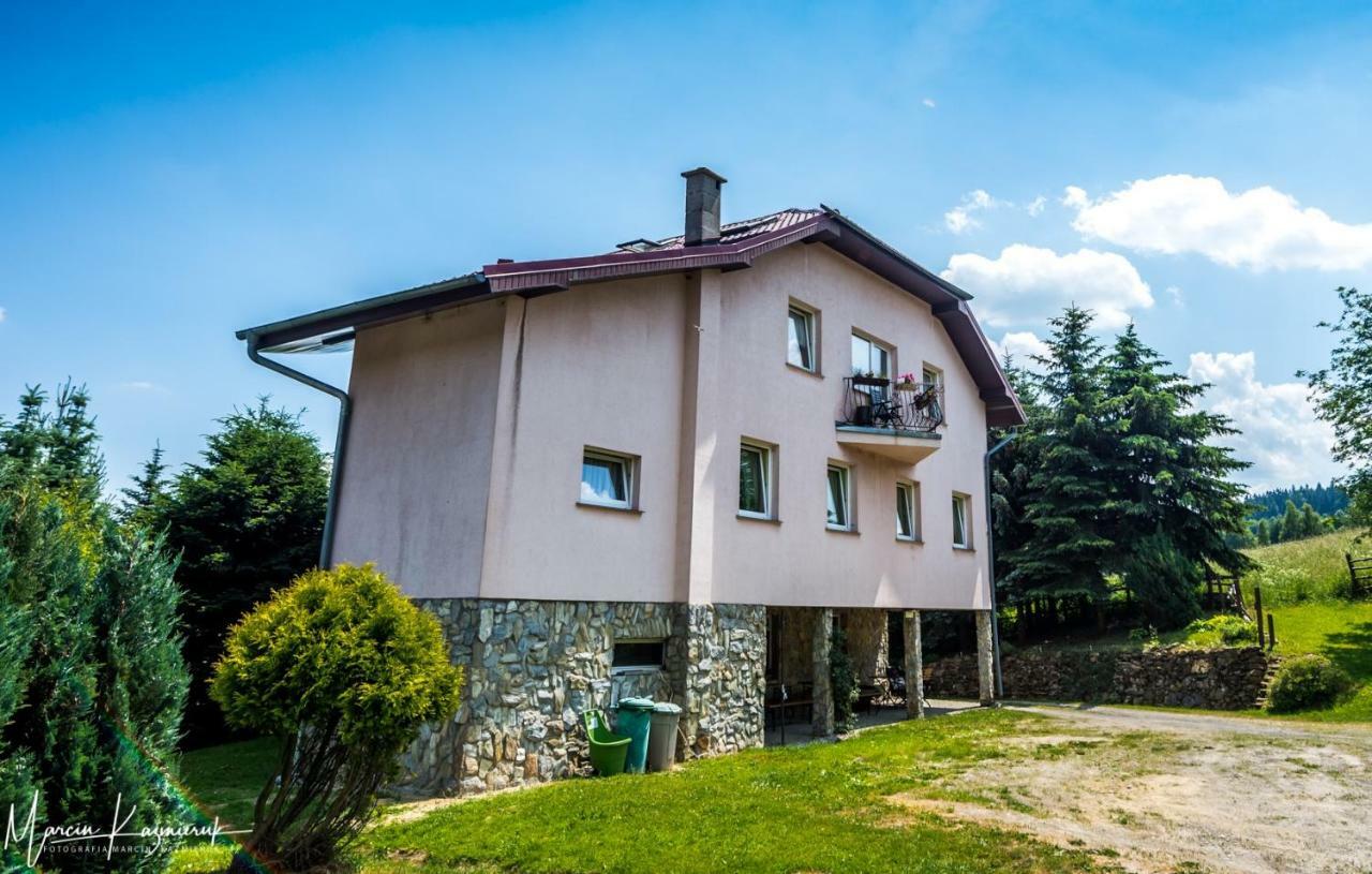 Agroturystyka Kapellanka - Kraina Wygaslych Wulkanow Wojcieszów エクステリア 写真